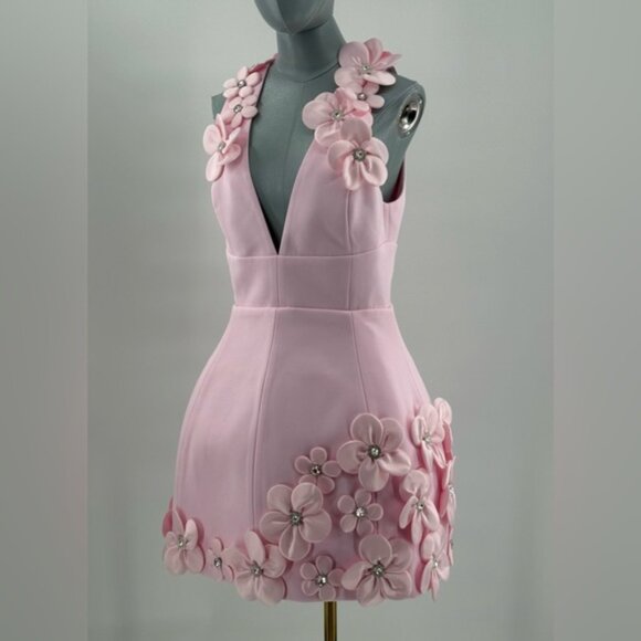 🆕 BRONX & BANCO 🧿 NWOT Estelle Floral Mini Dress, Blush Pink - Sz M US 6 - Picture 3 of 17